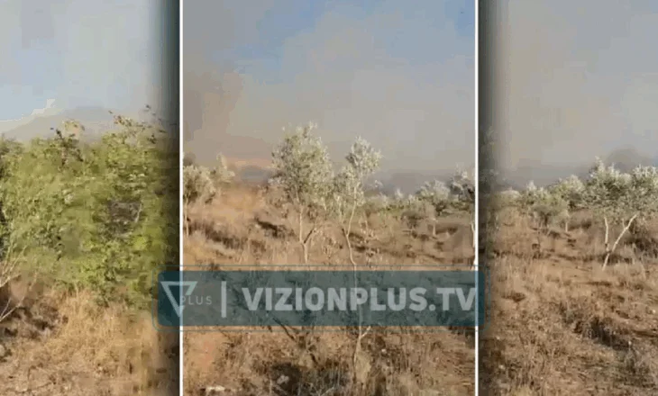 Zjarr në Parkun e Butrintit