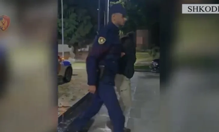 Armë, municion luftarak dhe drogë/ Goditen rastet e gjuetisë së paligjshme, pesë të arrestuar gjatë natës në Shkodër