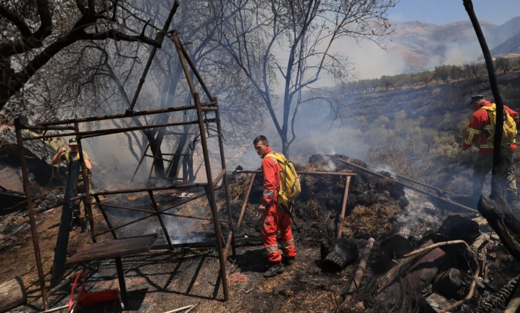 Bilanci i dëmeve nga zjarret në Delvinë, 9.5 miliardë lekë. Më e prekura, bujqësia!