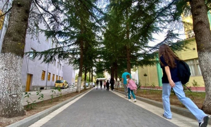 BIRN: Një në pesë fëmijë në Shkodër ka përjetuar bullizëm