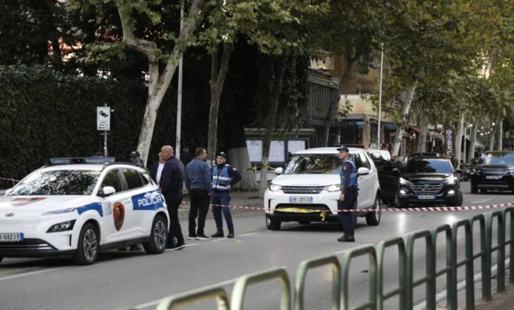 BIRN: Vrasja e paralajmëruar, kërkesat për rritjen e sigurisë në gjykata ranë në vesh të shurdhër