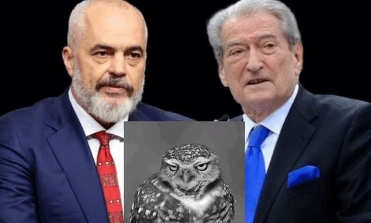 “Bufi i kënetës” ‘zë vend’ në raportin e OSBE-ODIHR: Sulme personale mes dy liderëve, Rama-Berisha