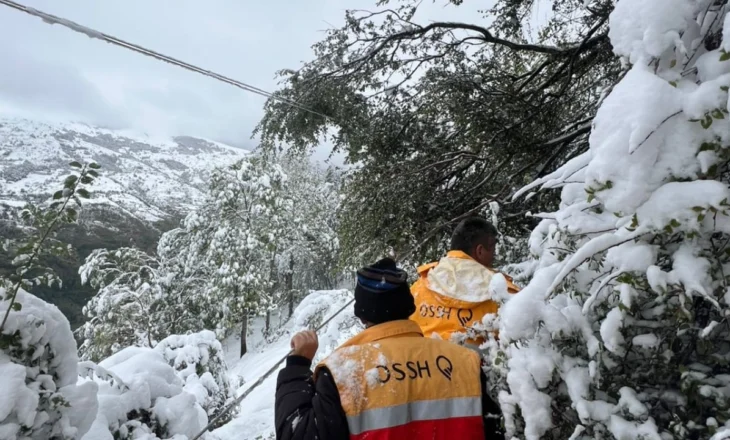 Dëbora dhe erërat e forta shkaktojnë probleme në rrjetin elektrik, 20 familje në Kukës mbeten pa drita