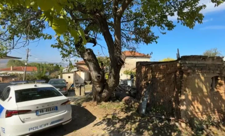 E rëndë në Pogradec/ Aktivizoi gjatë punës një granatë të Luftës së Dytë Botërore, plagoset 49-vjeçari (EMRI)