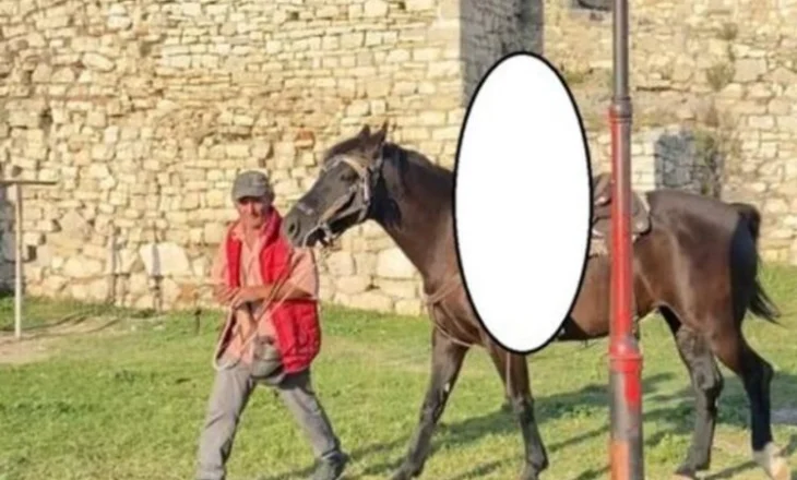 E vrau pse i bëri foto vajzës së vogël me kalin e tij, arrestohet autori i ngjarjes në Berat