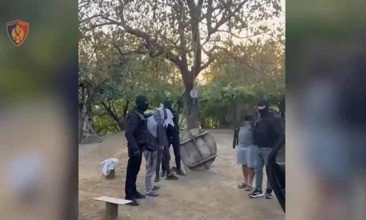 EMRAT/ Sekuestrohet mbi 40 kg drogë në Mirditë, arrestohen dy vëllezërit dhe miku i tyre