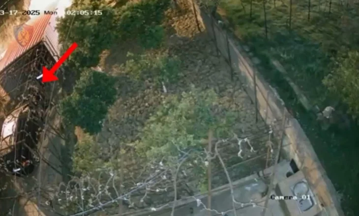 Emri/ Dogji dy automjete dhe grabiti disa banesa, pranga të riut në Tiranë