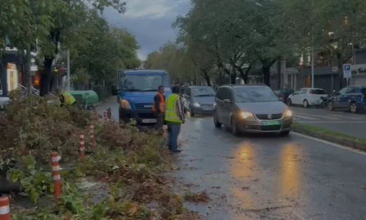 (FOTO-VIDEO)/ Era e fortë rrëzon pemët në rrugë, bllokohet përkohësisht qarkullimi