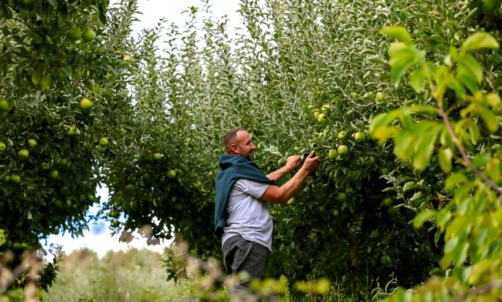 Funari, përveç bukurisë natyrore, po kthehet në zonë model për prodhimet bio