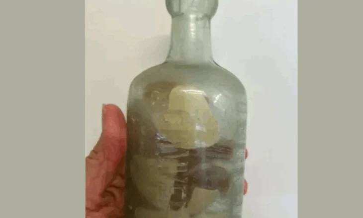 Gjenden në bregun australian mesazhet në shishe të Luftës së Parë Botërore