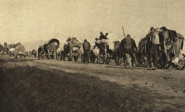 Gje’noc’idi serb ndaj shqipëtarve në vitet 1877 – 1878