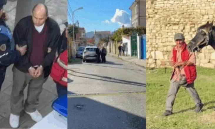 Gjin Gjoni: Krimi ka dalë jashtë kontrollit, rendi dhe siguria në rrezik të madh