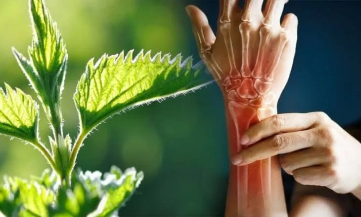 Hithra, mrekulli për dhimbjet e kyçeve; Ja si ta përdorni