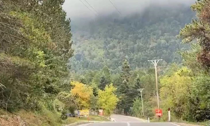 Humbën në Llogara pasi po eksploronin zonën, gjenden pas disa orësh kërkim nënë e bir nga Suedia