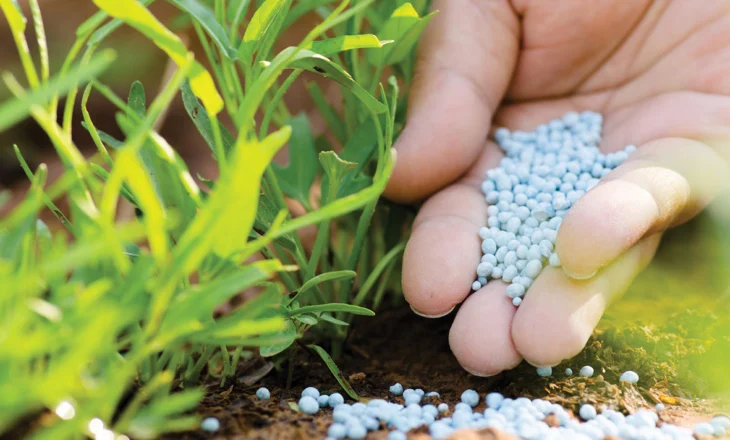 Importet e pesticideve me rritje në krahasim me një dekadë më parë