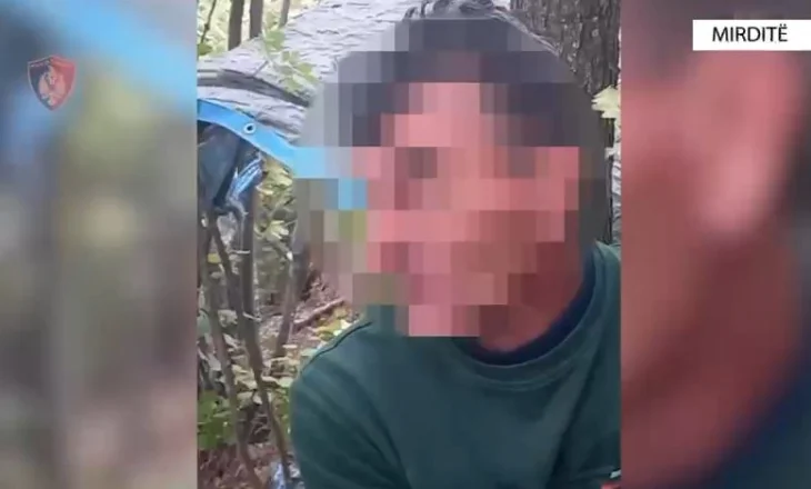Kapet në flagrancë duke kultivuar kanabis, arrestohet 51-vjeçari në Mirditë