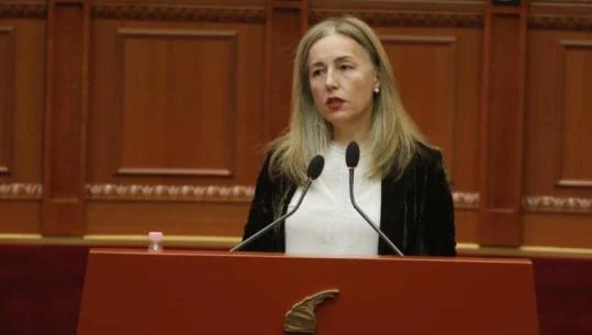 KLP: Vakancat, zgjasin proceset hetimore, Bogdani: Presim që ngarkesa të ulet në dy vitet e ardhshme