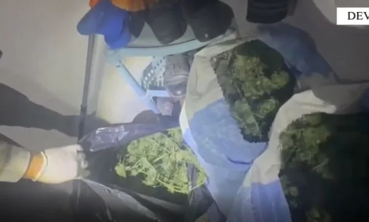 Kultivuan kanabis në tokën e tyre dhe e fshehën në banesë, arrestohet çifti në Devoll