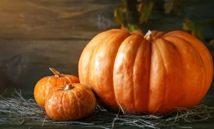 Kungulli i vjeshtës është një superushqim, ja pse…