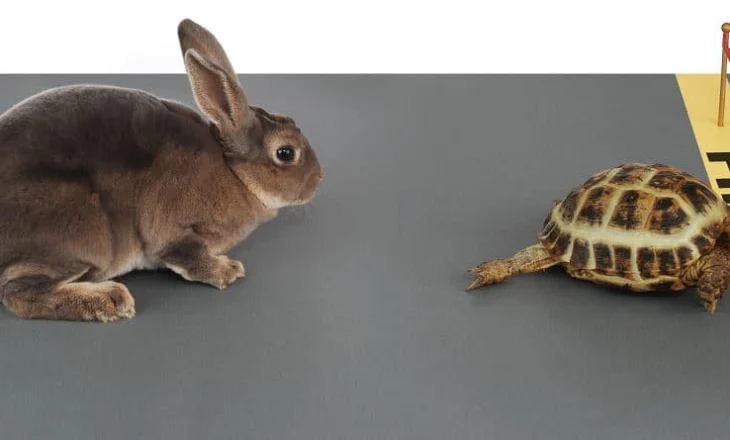 Lexojeni/ Lepuri dhe breshka, fabula e famshme e Ezopit