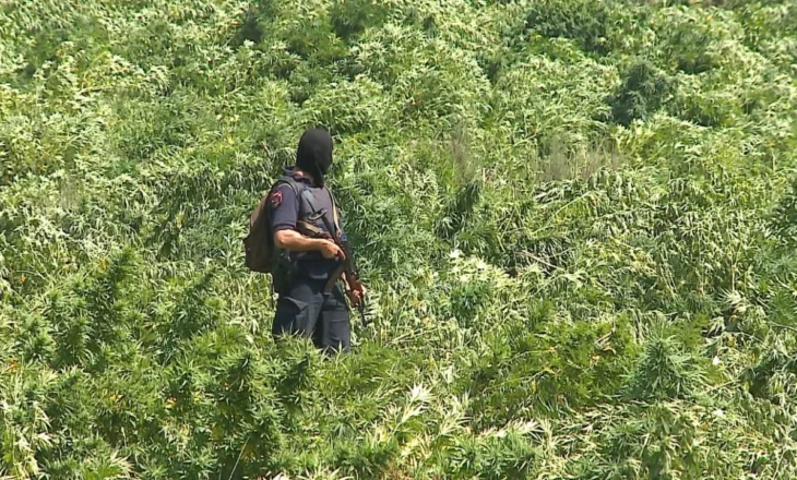 Mbyllet dosja për bandën e hashashit, Apeli i GJKKO merr vendim për 32 të akuzuarit, ulet dënimi për 10 prej tyre
