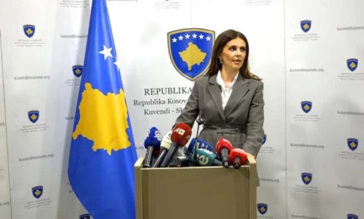 Nuk ka shumicë të re parlamentare, Çitaku: Kosova të shkojë në zgjedhje të reja