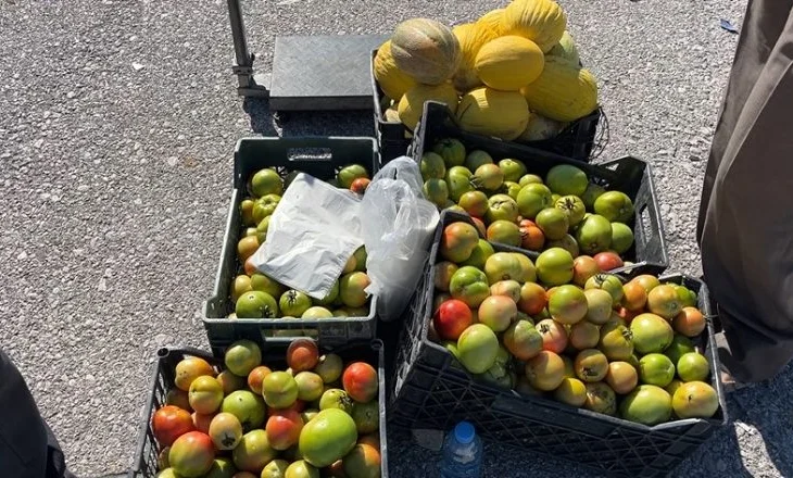 “Nuk kemi asnjë mbështetje”/ Fermerët e Vlorës: Po falimentojmë, nuk kemi treg për shitjen e prodhimeve bujqësore