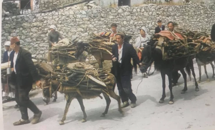 Pamje të rralla/ Ulqini në vitin 1959