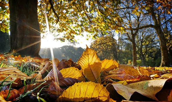 Parashikimi/ Çfarë ndodh me motin gjatë muajit nëntor