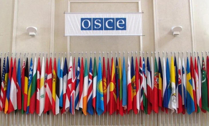 “Parregullsi”/ Raporti i OSBE për “11 Majin”: Sistemi i ri zgjedhor favorizoi, PS-PD