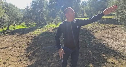 Përgjysmohet prodhimi, fermerët e ullirit: Jemi të braktisur nga shteti