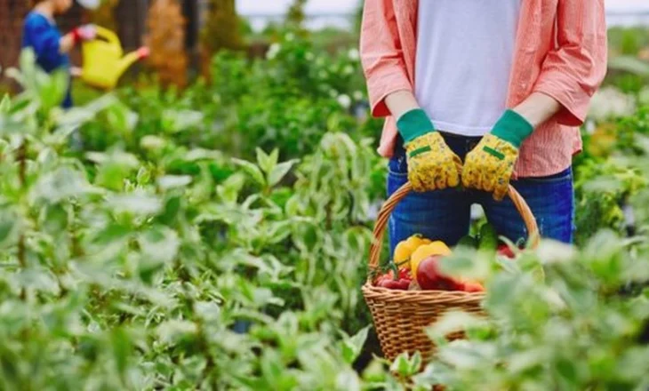 Prodhimi në ulje, importi i pesticideve në rritje, çfarë po ndodh me produktet bujqësore