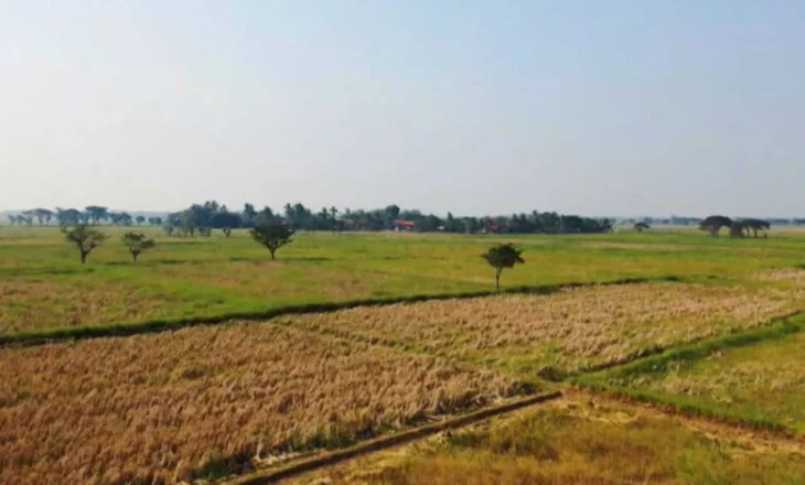 Qeveria rikthen kompensimin e TVSH-së në bujqësi nga 2026-ta, do të jetë 10%