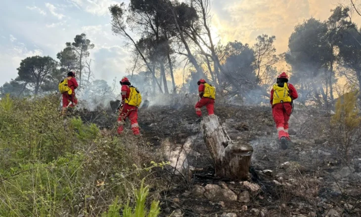 Rama paralajmëron: Në zonat pyjore që digjen, për 30 vite s’do jepet asnjë leje ndërtimi