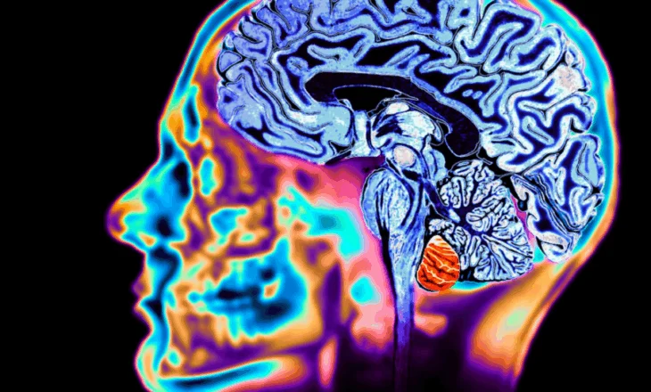 Roli misterioz i litiumit në tru dhe parandalimi i Alzheimerit