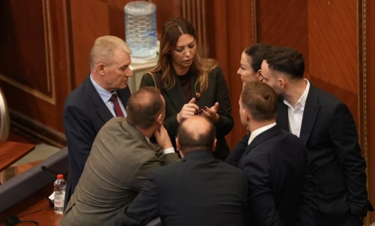 Seanca për Qeverinë e re, Veton  Berisha deklaron votën pro