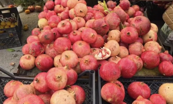 Shega, “mbretëresha” e vjeshtës — në Fier shtohen plantacionet dhe tregu lulëzon