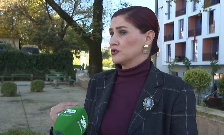 Shoqëria shqiptare nën presion/ Tre vrasje në një ditë, ekspertët: Nevojë urgjente për kujdes të shtuar të shëndetit mendor