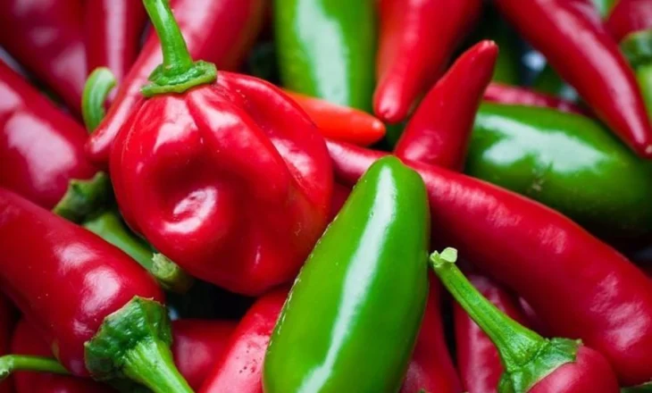 Skandal i përsëritur! Kroacia bllokon specat nga Shqipëria, sërish pesticide mbi normë