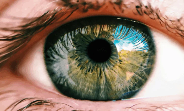 Sytë nuk plaken: misteri i së vetmes pjesë të trupit që mbetet e pandryshuar