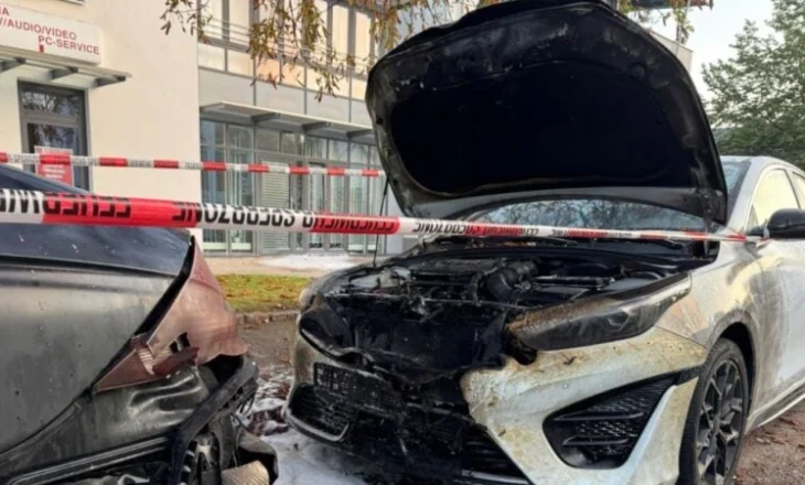 Tragjedia familjare/ Burri 57-vjeçar vret babanë, plagos nënën e vajzën e tij dhe kryen vetëvrasje! Shkak trashëgimia