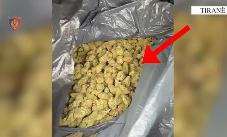U kapën me 10 kg hashash për shitje, në pranga 2 persona në Fushë-Krujë! Sekuestrohet dhe armë zjarri pa leje