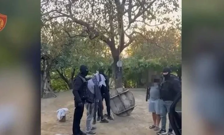 VD-Kapen 40 kg kanabis në Mirditë, arrestohen dy vëllezër dhe një person i tretë (EMRAT)