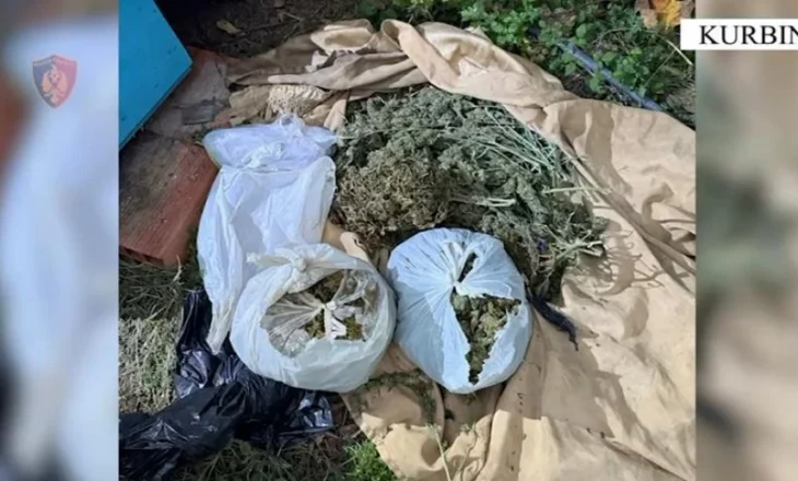 VIDEO/ 62-vjeçari në Kurbin kapet me 7 kg kanabis në banesë