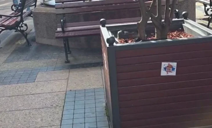 Video/ Nuk “ngopen” nga provokimet serbët! Vendosin hartën e Kosovës me flamurin e Serbisë në qytetin ku ndodhet Kombëtarja shqiptare