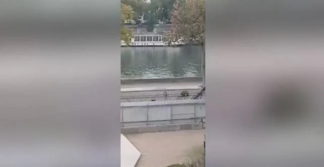 VIDEO/ “Spektakël” largimi i hajdutëve pas grabitjes së Luvrit, ikin me monopatinë.. Ja si u futën në muze?