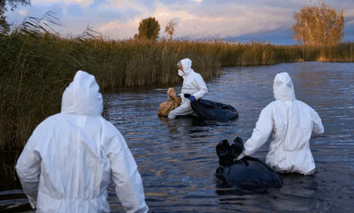 Virologu i OBSH-së paralajmëron : Virusi i gripit të shpendëve ka ‘gjithçka që duhet për të shkaktuar një pandemi’