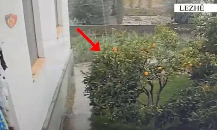Vodhi bizhuteri në një banesë dhe i shiti në një argjendari, arrestohet i riu në Shkodër