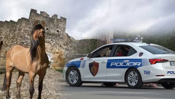 Vrasja e 42-vjeçarit në kalanë e Beratit, ja kush është autori (Foto)