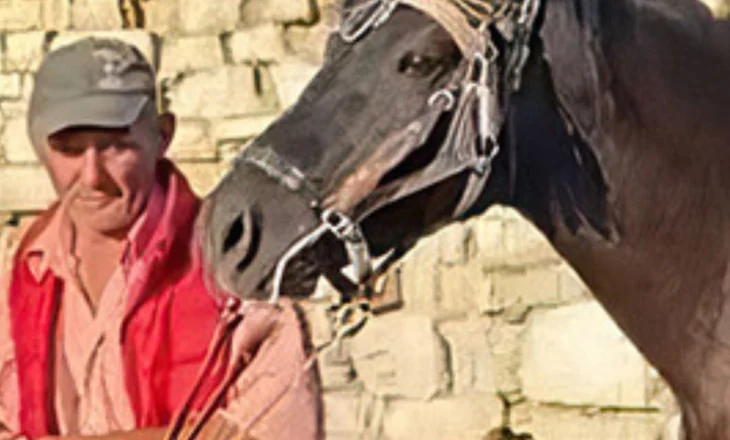 Vrau turistin nga Tirana për një foto me kalin e tij, zbulohet e shkuara e Kristo Memës, i dënuar 25 vite burg në Greqi